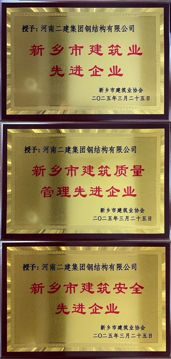 钢结构公司奖牌拼图.jpg 钢结构公司奖牌拼图.jpg